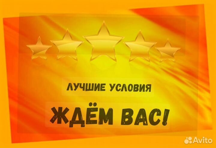 Сортировщик Еженедельный аванс Спецодежда М/Ж