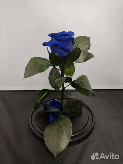 Роза в колбе оптом и в розницу