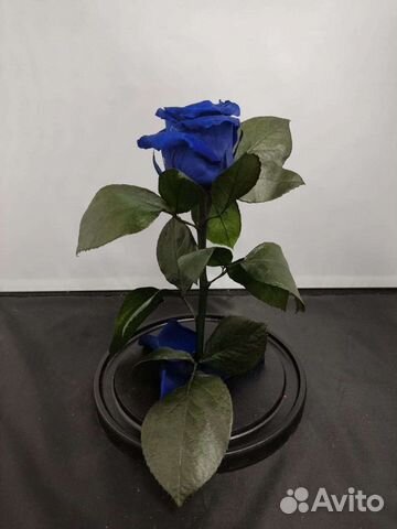 Роза в колбе оптом и в розницу