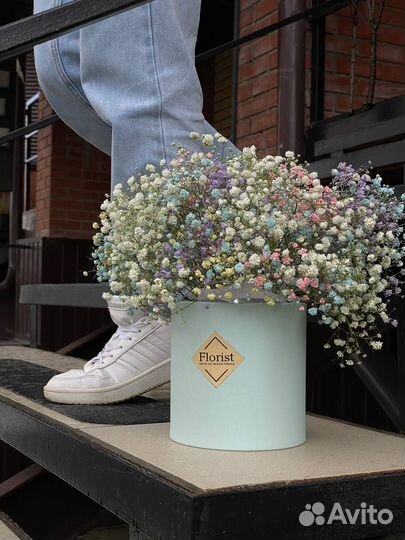 Гипсофила в коробке