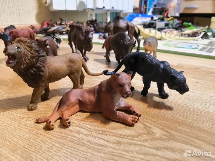 Насекомые, ящерица