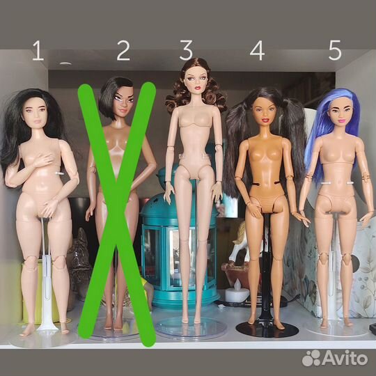 Куклы барби, кен, мизи гибриды