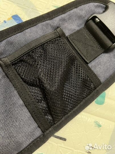 Хипсит pоngae