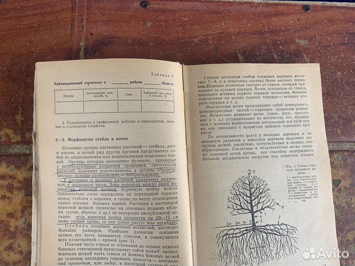 Практикум по плодоводству книга 1978 год