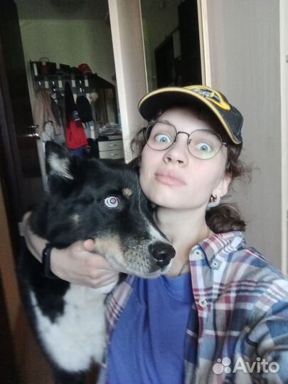 Выгул и передержка собак