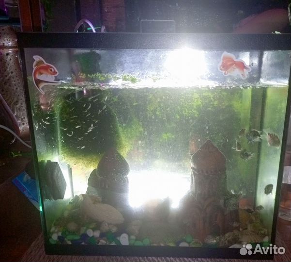 Аквариум