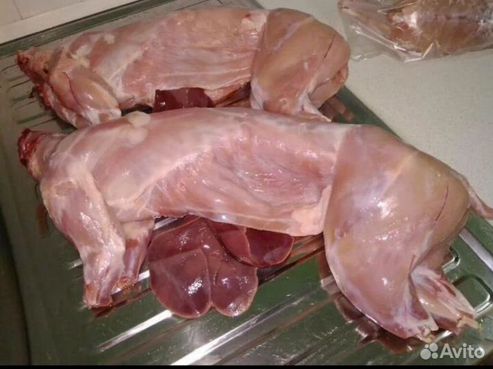 Мясо кролика