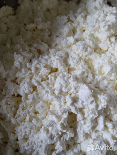 Молочная продукция