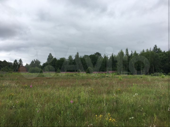 Участок 18,5 сот. (ИЖС)