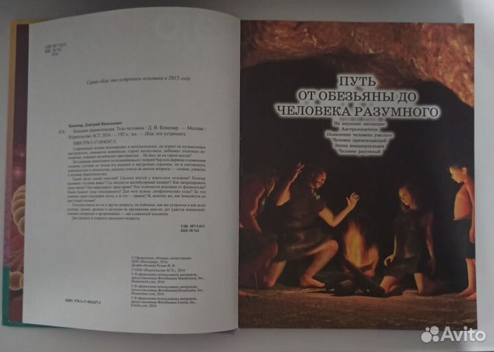 Книга Энциклопедия Тело человека
