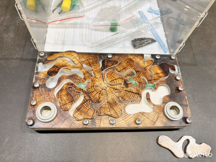 Муравьиная ферма бу