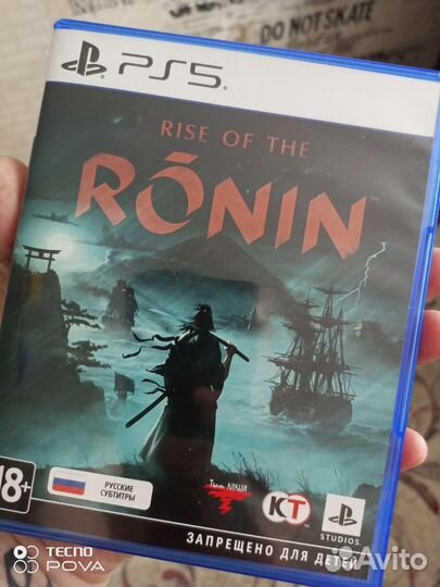 Rise of the Ronin
