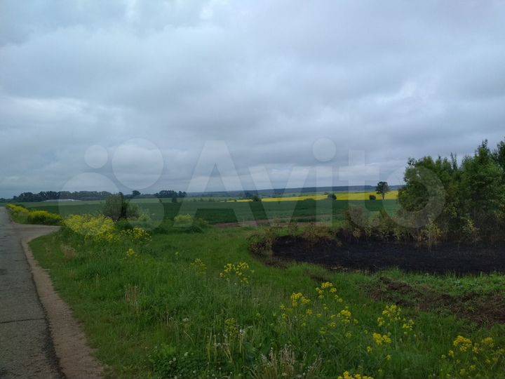 Участок 30 сот. (ИЖС)