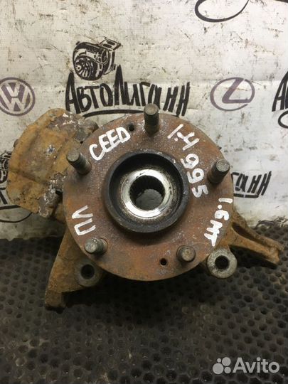 Кулак (цапфа) передний левый Kia Ceed универсал