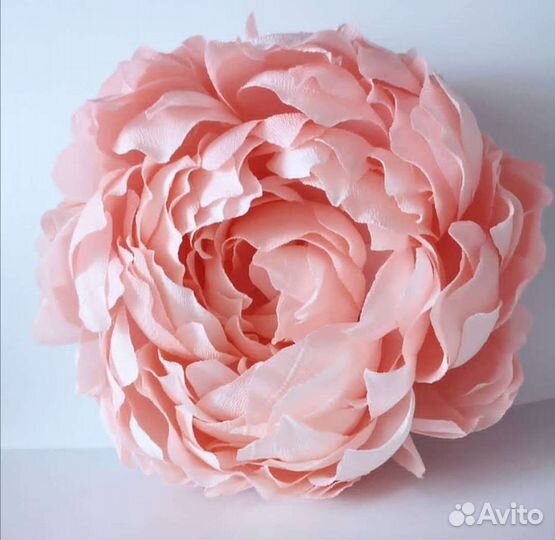 Ростовые Пионы