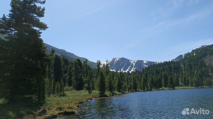 Турпутевка на Алтай летний экспедиция 5-9 дн