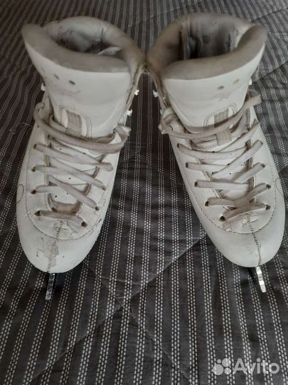 Коньки Risport Royal Pro, лезвия MK Professional