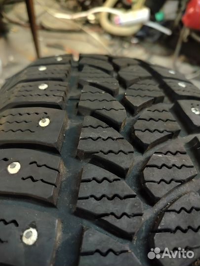 Tigar Sigura Stud 205/55 R16