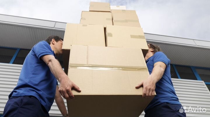 Грузчики. Профессионалы