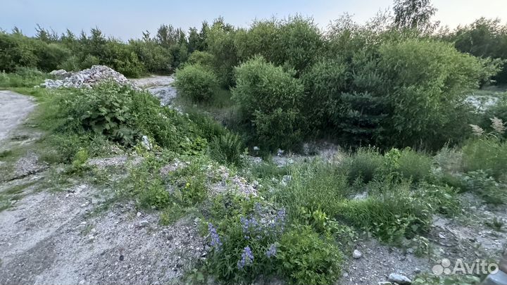 Приму грунт бесплатно