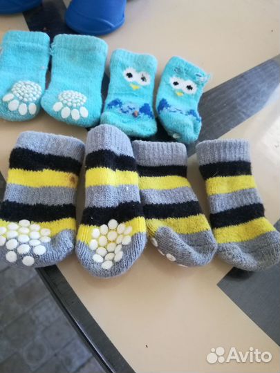 Обувь для маленьких собак