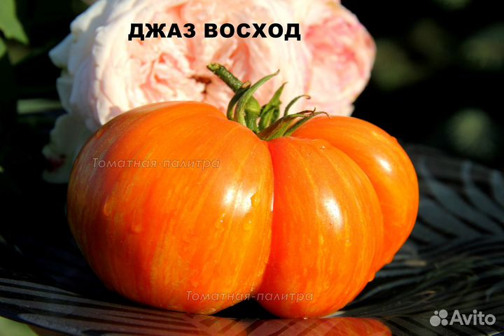 Семена редких экзотических томатов