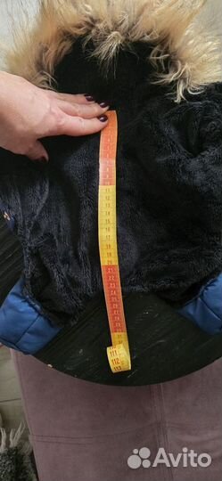 Зимний комбинезон для маленькой собаки