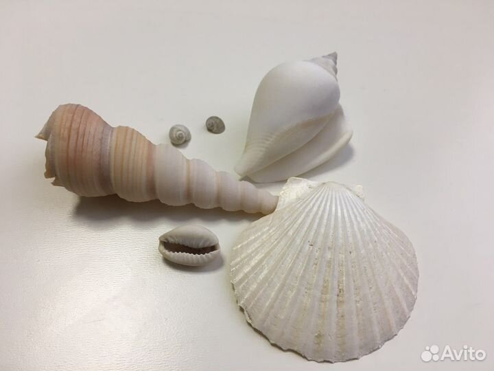 Набор для аквариума