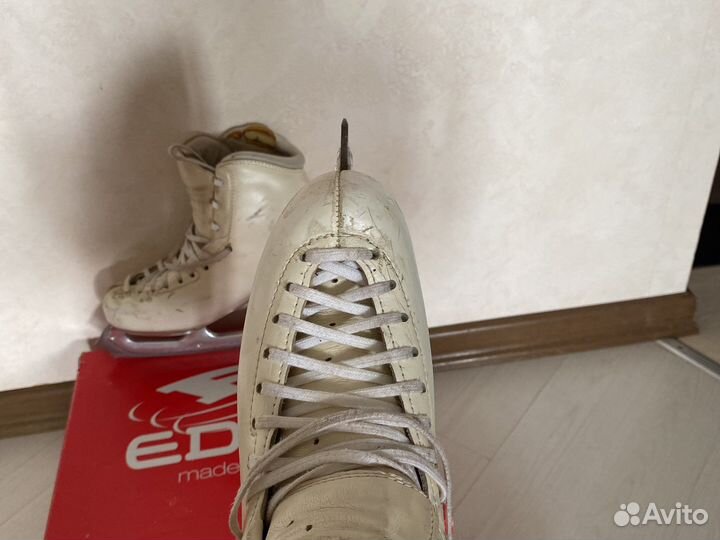 Коньки Edea Chorus 245