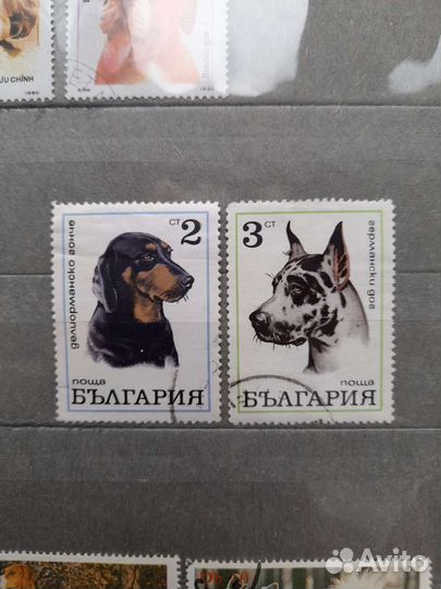 Марки Собаки и Кошки. Цена за все марки