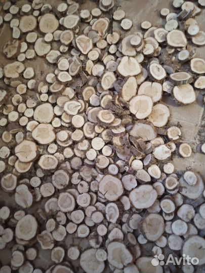 Спилы дерева, можжевельник