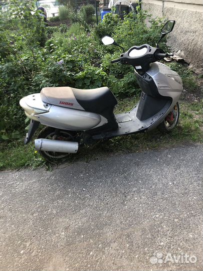 Ирбис нирвана