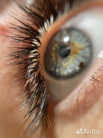 Наращивание ресниц на дому