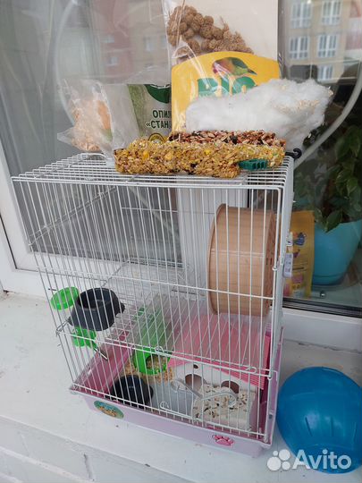 2 Клетки для птиц и грызунов