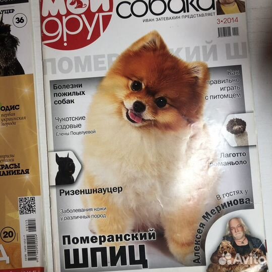 Журналы мой друг, собаки и кошки