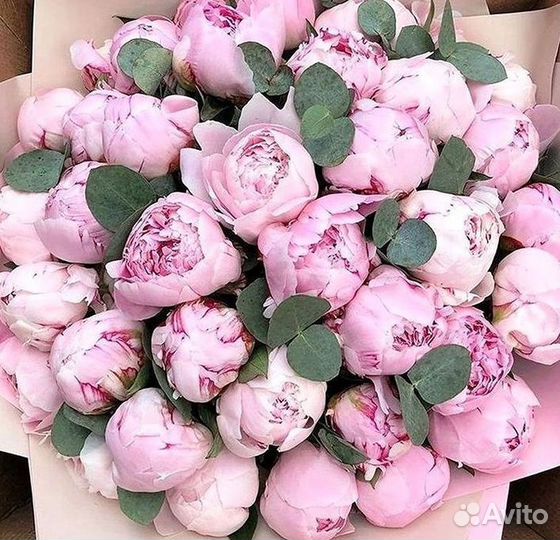 Пионы Букет пионов
