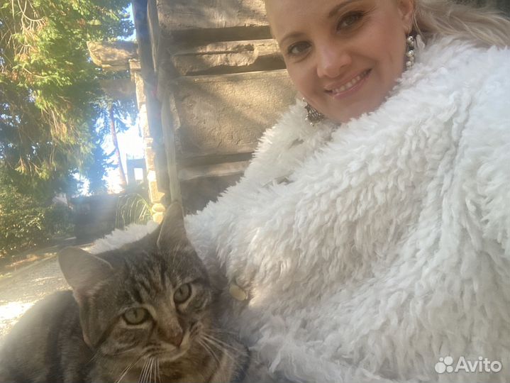 Котоняня, кетситер, зооняня