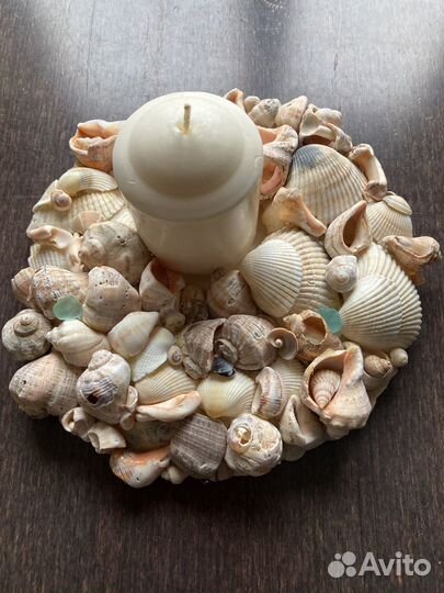 Морские ракушки раковины
