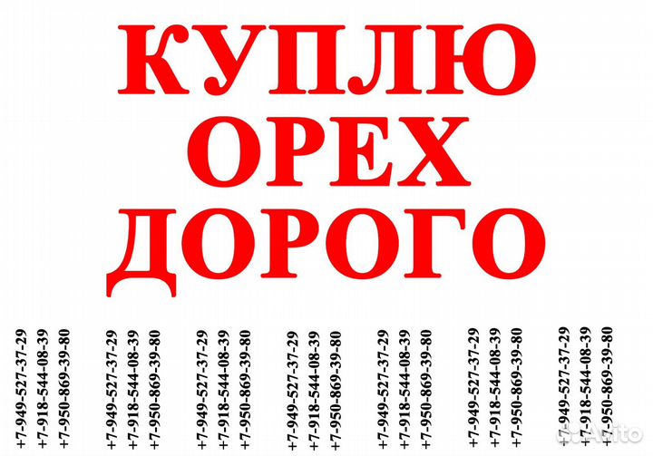 Грецкий орех