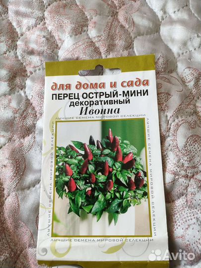 Перец острый комнатный