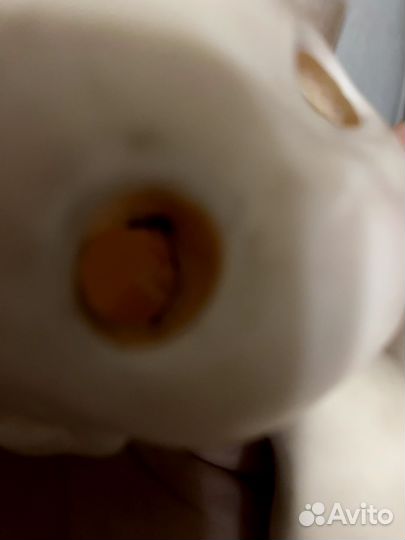 Кукла bjd 1/4 база