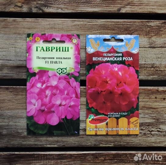 Семена Пеларгонии