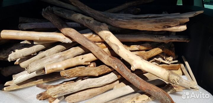 Коряги дрифтвуд из моря