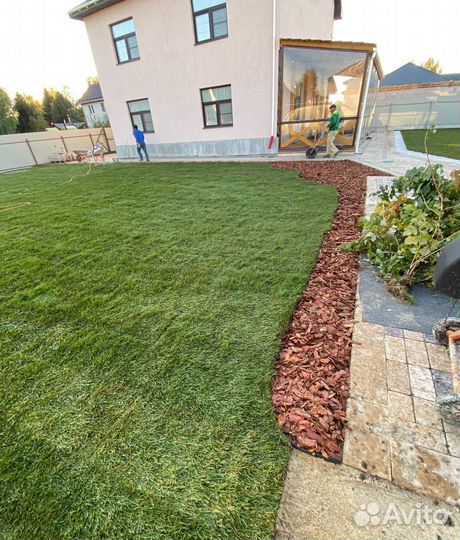 Укладка газона / стандарт