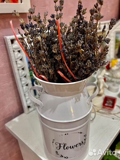 Лаванда срез