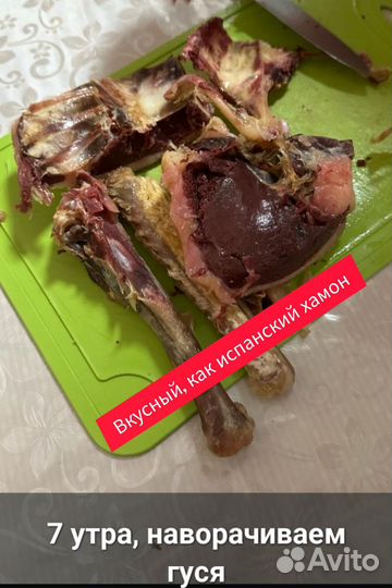 Гусь вяленый