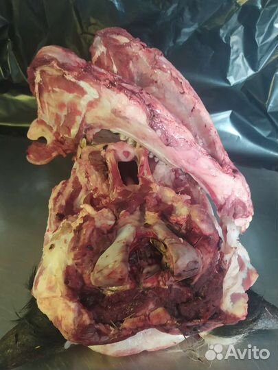 Кости для собак