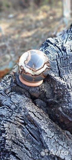 Яйцо дракона. Септария