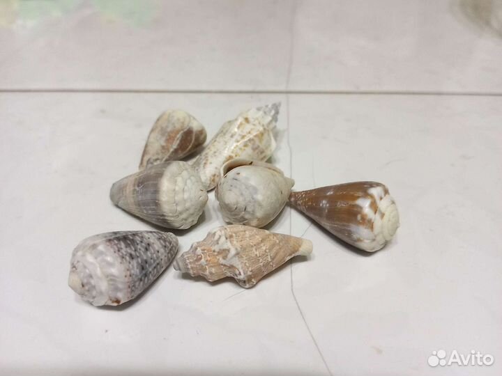 Грунт для аквариума