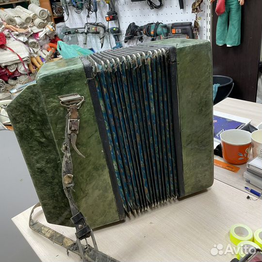 Гармонь Беларусь (сзр)